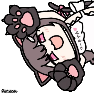 🐱