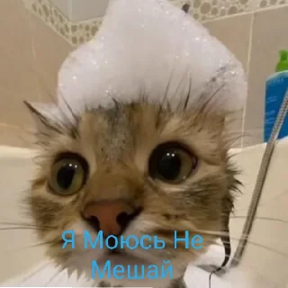 🧖‍♂️