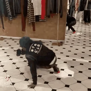 🤩