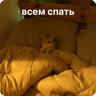 😴