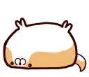 🐶