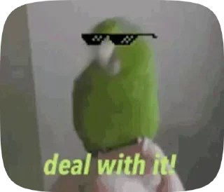 😎