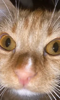 😮