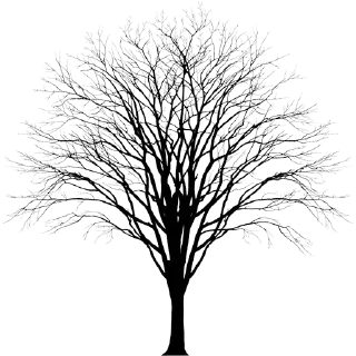 🌳