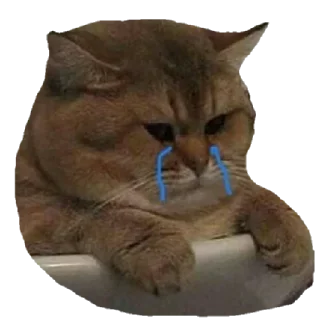 😓