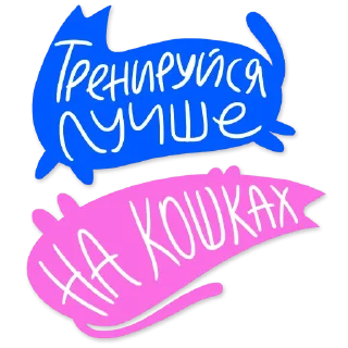 🐈‍⬛