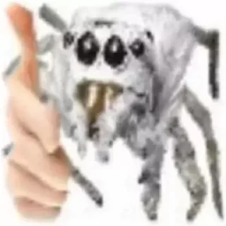 👍