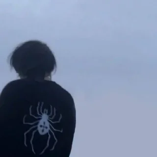 🕷