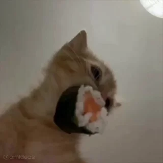 🍣