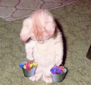 🎀