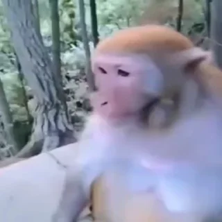 😁