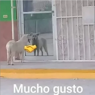 🤝
