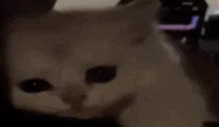 😔