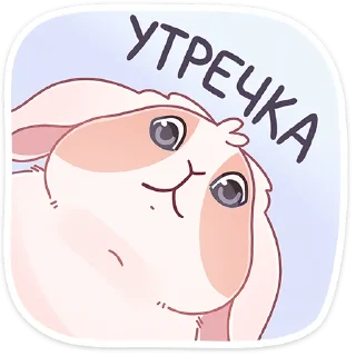 🥺
