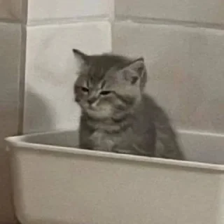 😴