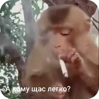 🚬