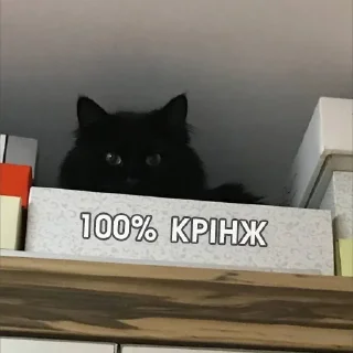 🥴