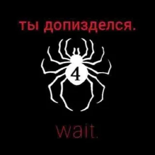 🕸