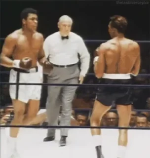 🥊