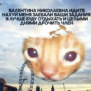 😏