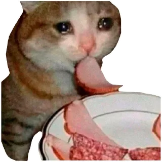 🥓