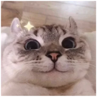 ☺️