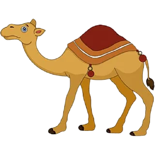🐪