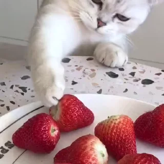 😋
