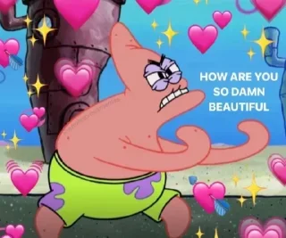 ✨
