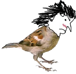 🐦