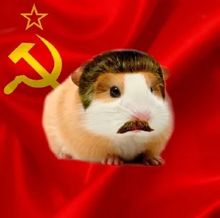 🐹