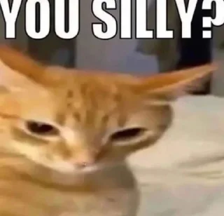 🤨