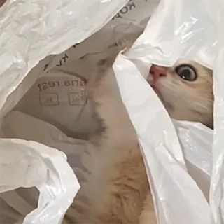 😶