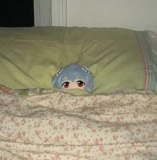 🛌