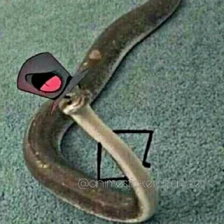 😎