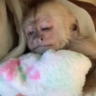 😞
