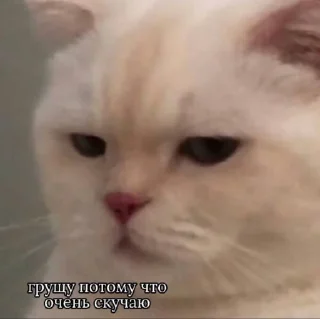 😑