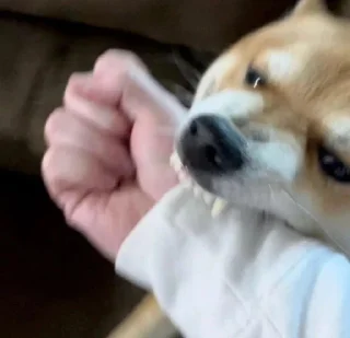 💓