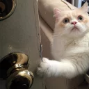 🚪