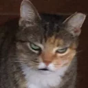 😑