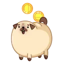 🪙