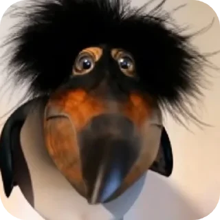 🐶