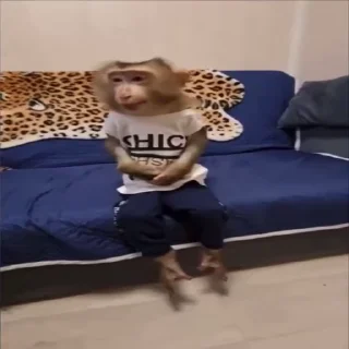 👏
