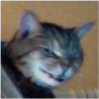😏