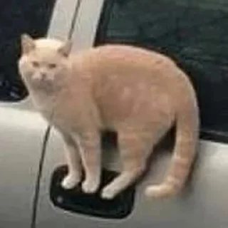 🤯