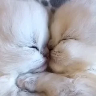 💋