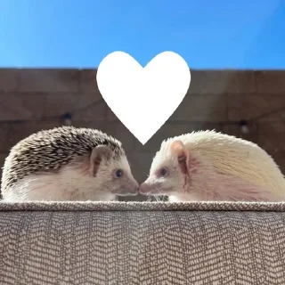 ❤️