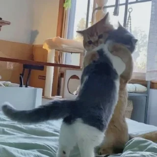 🤗