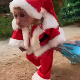 🎅