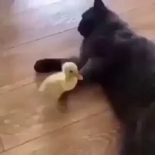 😒